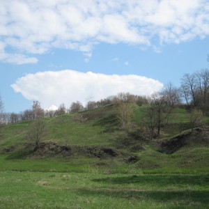 img_254052_11292.jpg