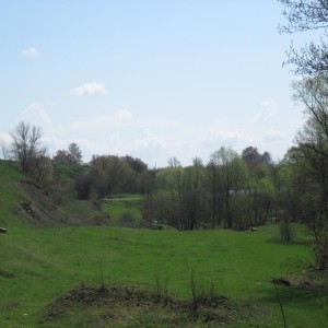 img_254054_11292.jpg