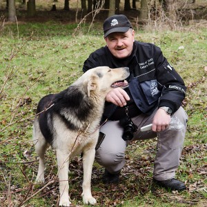 FHQu «Wehrwolf»