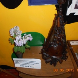 img_258965_44780.jpg