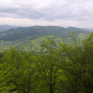img_266016_38563.jpg