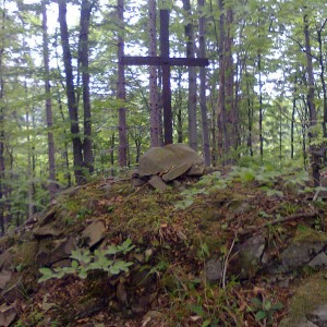 img_266018_38563.jpg