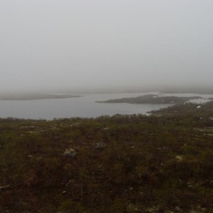 img_268484_26334.jpg