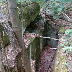 img_271331_46358.jpg