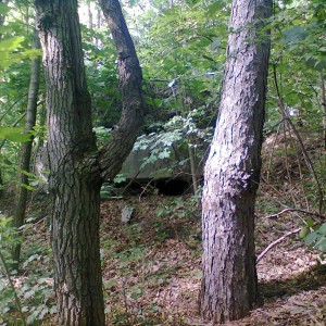 img_271340_46358.jpg