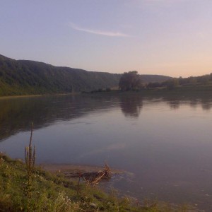 img_276016_38563.jpg