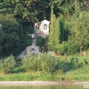img_278891_44417.jpg