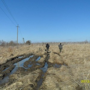 img_279624_8891.jpg
