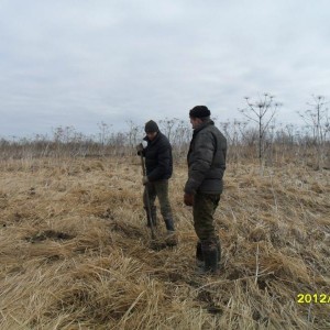 img_279636_8891.jpg