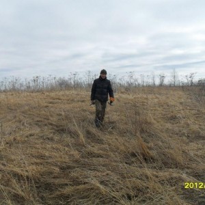 img_279638_8891.jpg