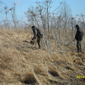 img_279639_8891.jpg