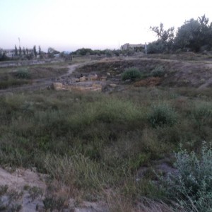 img_281546_46358.jpg