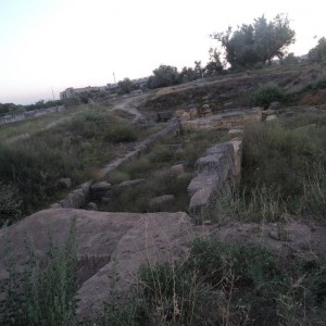 img_281549_46358.jpg