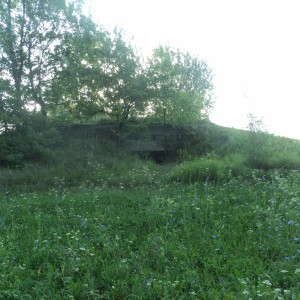 img_282287_46358.jpg