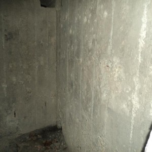 img_282289_46358.jpg