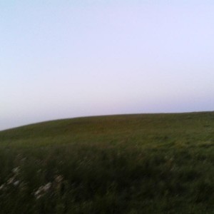 img_282878_46358.jpg