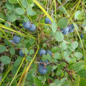 img_283744_8392.jpg
