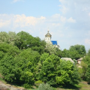 img_283879_8392.jpg