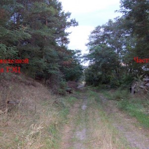 img_284914_13332.jpg