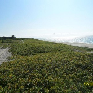 img_285072_21149.jpg