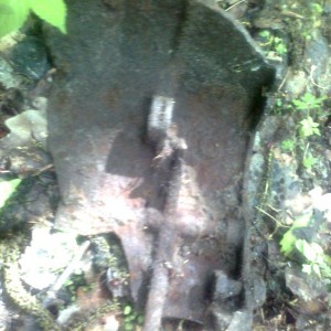 img_285285_46358.jpg