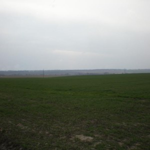 img_287983_46358.jpg