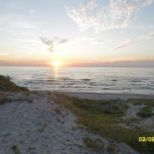 img_288731_21149.jpg