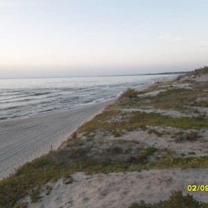 img_288732_21149.jpg