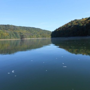 img_290870_38563.jpg