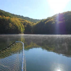 img_290871_38563.jpg