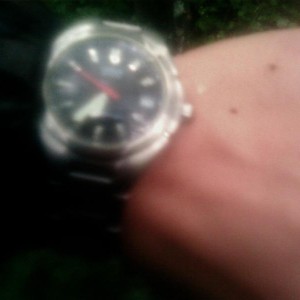img_294112_8891.jpg