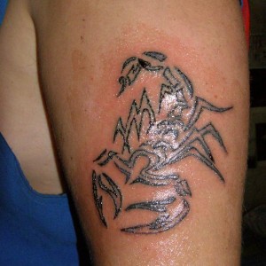 img_295978_47047.jpg