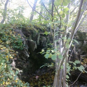 img_300641_55864.jpg