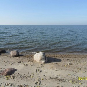 img_300773_21149.jpg