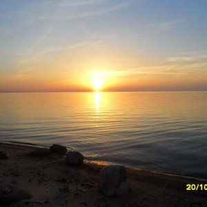 img_300774_21149.jpg