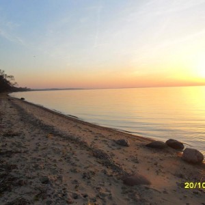 img_300776_21149.jpg