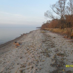 img_300777_21149.jpg