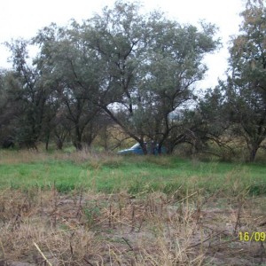 img_302087_18241.jpg