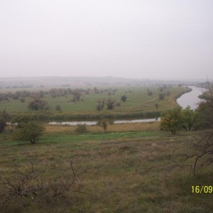img_302091_18241.jpg