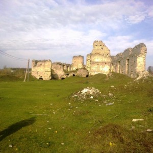 img_302193_55864.jpg