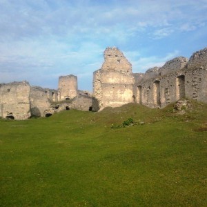 img_302195_55864.jpg