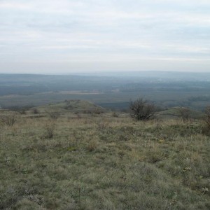 img_305162_64792.jpg