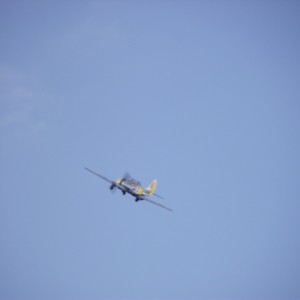 img_306238_25188.jpg
