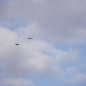 img_306239_25188.jpg