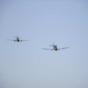 img_306240_25188.jpg