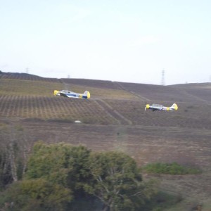 img_306241_25188.jpg