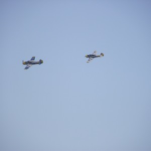 img_306243_25188.jpg