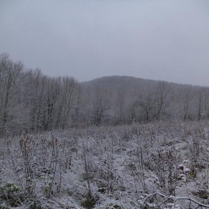 img_307002_64752.jpg
