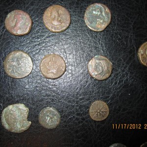 img_307074_68460.jpg