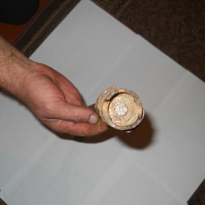 img_307706_67805.jpg